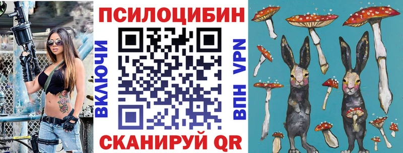 Псилоцибиновые грибы Psilocybe  Осинники 